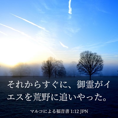Picture 03 - マルコによる福音書 1:12 JPN - それからすぐに、御霊がイエスを荒 - Bible Verse Picture