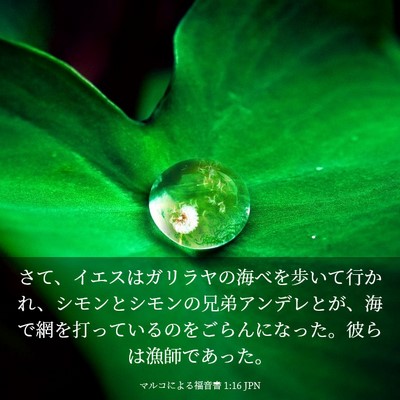 Picture 03 - マルコによる福音書 1:16 JPN - さて、イエスはガリラヤの海べを歩 - Bible Verse Picture