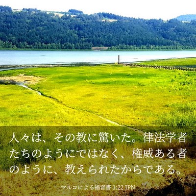 Picture 03 - マルコによる福音書 1:22 JPN - 人々は、その教に驚いた。律法学者 - Bible Verse Picture