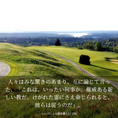 Picture 03 - マルコによる福音書 1:27 JPN - 人々はみな驚きのあまり、互に論じ - Bible Verse Picture