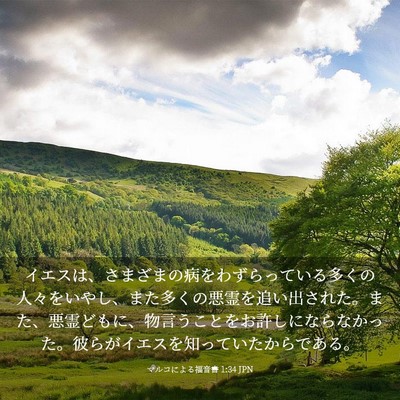 Picture 03 - マルコによる福音書 1:34 JPN - イエスは、さまざまの病をわずらっ - Bible Verse Picture