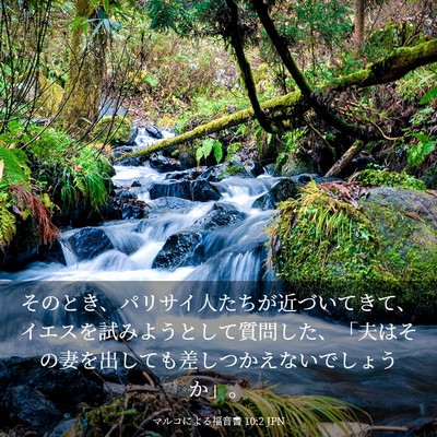 Picture 03 - マルコによる福音書 10:2 JPN - そのとき、パリサイ人たちが近づい - Bible Verse Picture
