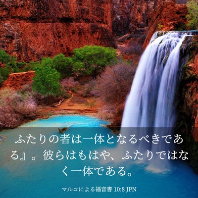 Picture 03 - マルコによる福音書 10:8 JPN - ふたりの者は一体となるべきである - Bible Verse Picture