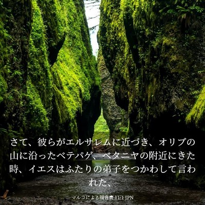 Picture 03 - マルコによる福音書 11:1 JPN - さて、彼らがエルサレムに近づき、 - Bible Verse Picture