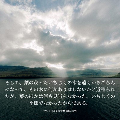 Picture 03 - マルコによる福音書 11:13 JPN - そして、葉の茂ったいちじくの木を - Bible Verse Picture