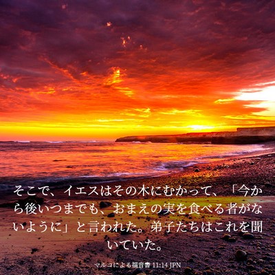 Picture 03 - マルコによる福音書 11:14 JPN - そこで、イエスはその木にむかって - Bible Verse Picture
