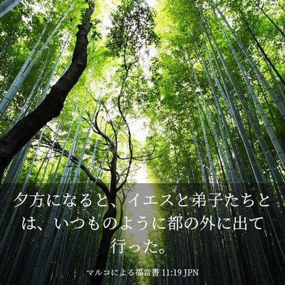 Picture 03 - マルコによる福音書 11:19 JPN - 夕方になると、イエスと弟子たちと - Bible Verse Picture