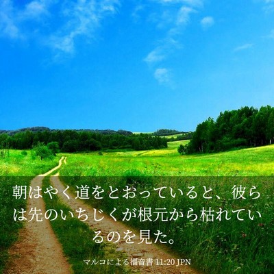 Picture 03 - マルコによる福音書 11:20 JPN - 朝はやく道をとおっていると、彼ら - Bible Verse Picture