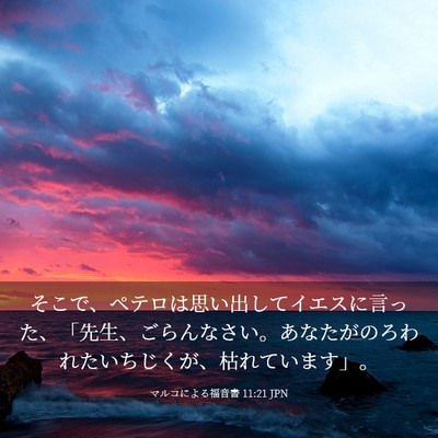 Picture 03 - マルコによる福音書 11:21 JPN - そこで、ペテロは思い出してイエス - Bible Verse Picture