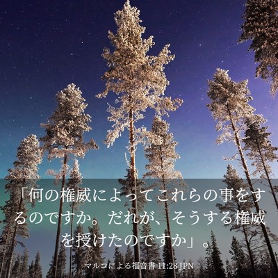 Picture 03 - マルコによる福音書 11:28 JPN - 「何の権威によってこれらの事をす - Bible Verse Picture