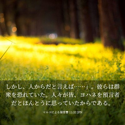 Picture 03 - マルコによる福音書 11:32 JPN - しかし、人からだと言えば……」。 - Bible Verse Picture