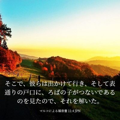 Picture 03 - マルコによる福音書 11:4 JPN - そこで、彼らは出かけて行き、そし - Bible Verse Picture