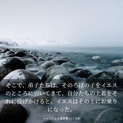 Picture 03 - マルコによる福音書 11:7 JPN - そこで、弟子たちは、そのろばの子 - Bible Verse Picture