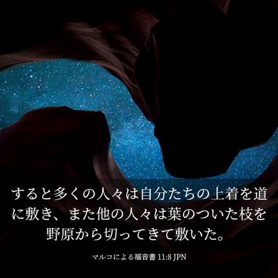 Picture 03 - マルコによる福音書 11:8 JPN - すると多くの人々は自分たちの上着 - Bible Verse Picture