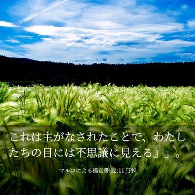 Picture 03 - マルコによる福音書 12:11 JPN - これは主がなされたことで、わたし - Bible Verse Picture