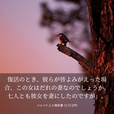 Picture 03 - マルコによる福音書 12:23 JPN - 復活のとき、彼らが皆よみがえった - Bible Verse Picture