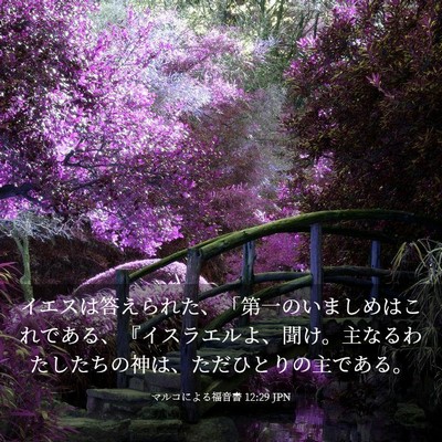 Picture 03 - マルコによる福音書 12:29 JPN - イエスは答えられた、「第一のいま - Bible Verse Picture