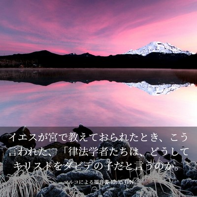 Picture 03 - マルコによる福音書 12:35 JPN - イエスが宮で教えておられたとき、 - Bible Verse Picture