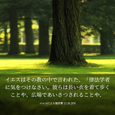 Picture 03 - マルコによる福音書 12:38 JPN - イエスはその教の中で言われた、「 - Bible Verse Picture