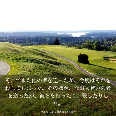 Picture 03 - マルコによる福音書 12:5 JPN - そこでまた他の者を送ったが、今度 - Bible Verse Picture