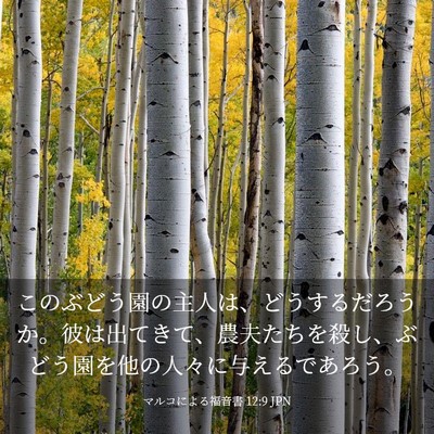 Picture 03 - マルコによる福音書 12:9 JPN - このぶどう園の主人は、どうするだ - Bible Verse Picture