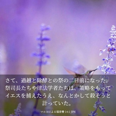 Picture 03 - マルコによる福音書 14:1 JPN - さて、過越と除酵との祭の二日前に - Bible Verse Picture