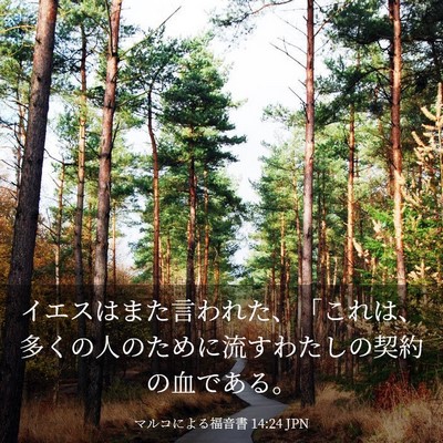 Picture 03 - マルコによる福音書 14:24 JPN - イエスはまた言われた、「これは、 - Bible Verse Picture