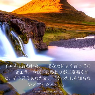 Picture 03 - マルコによる福音書 14:30 JPN - イエスは言われた、「あなたによく - Bible Verse Picture