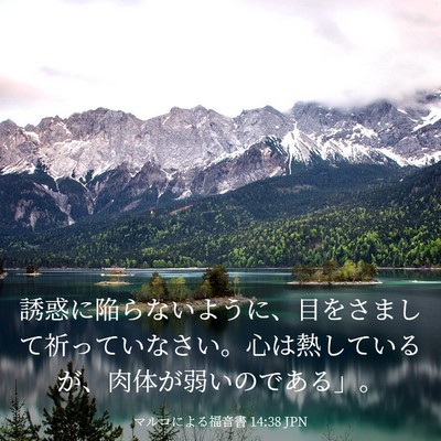Picture 03 - マルコによる福音書 14:38 JPN - 誘惑に陥らないように、目をさまし - Bible Verse Picture