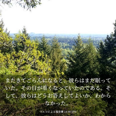 Picture 03 - マルコによる福音書 14:40 JPN - またきてごらんになると、彼らはま - Bible Verse Picture