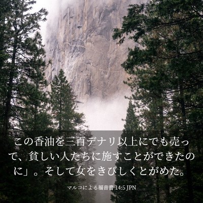 Picture 03 - マルコによる福音書 14:5 JPN - この香油を三百デナリ以上にでも売 - Bible Verse Picture
