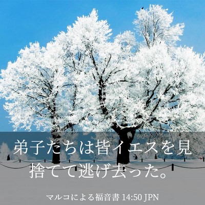 Picture 03 - マルコによる福音書 14:50 JPN - 弟子たちは皆イエスを見捨てて逃げ - Bible Verse Picture