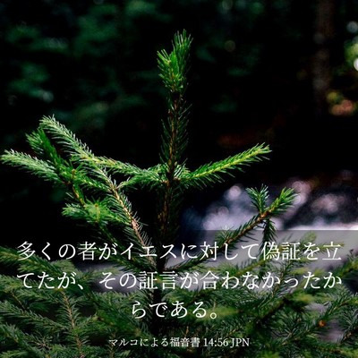Picture 03 - マルコによる福音書 14:56 JPN - 多くの者がイエスに対して偽証を立 - Bible Verse Picture
