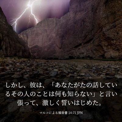 Picture 03 - マルコによる福音書 14:71 JPN - しかし、彼は、「あなたがたの話し - Bible Verse Picture