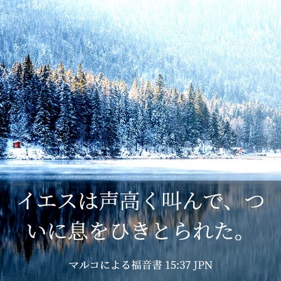 Picture 03 - マルコによる福音書 15:37 JPN - イエスは声高く叫んで、ついに息を - Bible Verse Picture