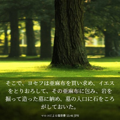 Picture 03 - マルコによる福音書 15:46 JPN - そこで、ヨセフは亜麻布を買い求め - Bible Verse Picture
