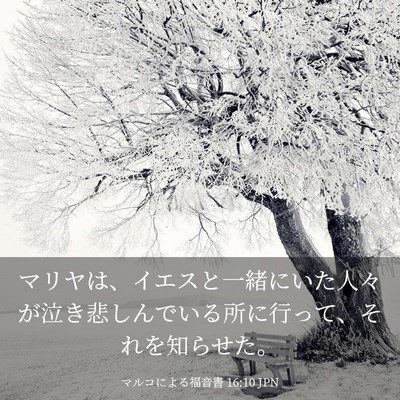 Picture 03 - マルコによる福音書 16:10 JPN - マリヤは、イエスと一緒にいた人々 - Bible Verse Picture