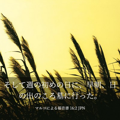 Picture 03 - マルコによる福音書 16:2 JPN - そして週の初めの日に、早朝、日の - Bible Verse Picture