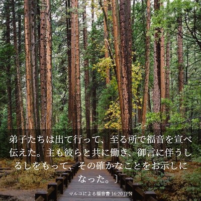 Picture 03 - マルコによる福音書 16:20 JPN - 弟子たちは出て行って、至る所で福 - Bible Verse Picture