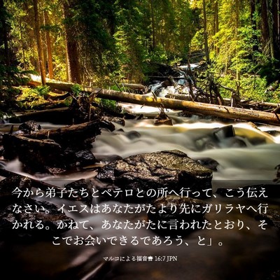 Picture 03 - マルコによる福音書 16:7 JPN - 今から弟子たちとペテロとの所へ行 - Bible Verse Picture