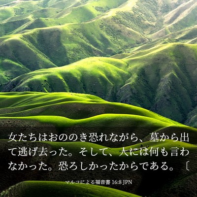 Picture 03 - マルコによる福音書 16:8 JPN - 女たちはおののき恐れながら、墓か - Bible Verse Picture