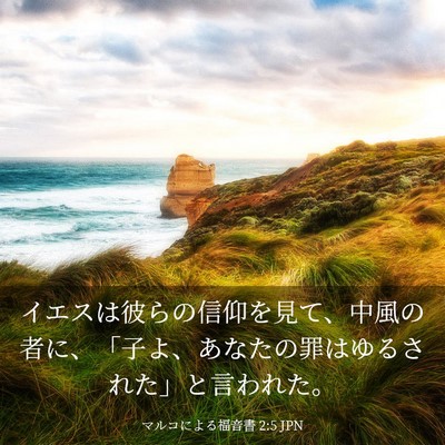 Picture 03 - マルコによる福音書 2:5 JPN - イエスは彼らの信仰を見て、中風の - Bible Verse Picture