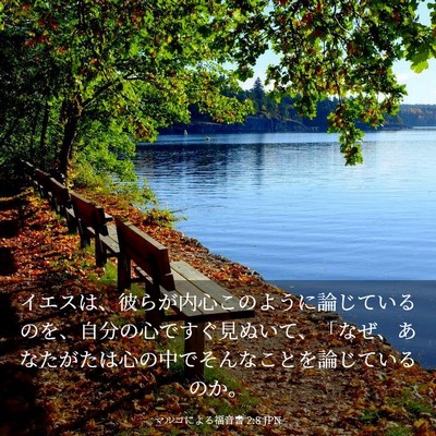 Picture 03 - マルコによる福音書 2:8 JPN - イエスは、彼らが内心このように論 - Bible Verse Picture