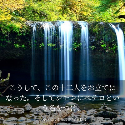 Picture 03 - マルコによる福音書 3:16 JPN - こうして、この十二人をお立てにな - Bible Verse Picture