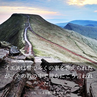 Picture 03 - マルコによる福音書 4:2 JPN - イエスは譬で多くの事を教えられた - Bible Verse Picture
