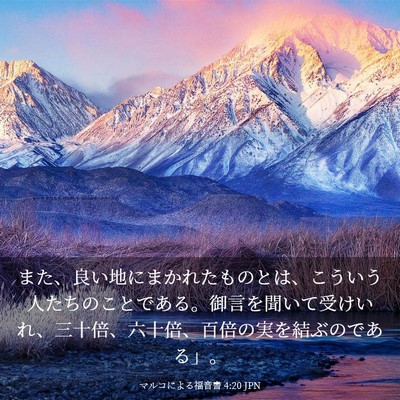Picture 03 - マルコによる福音書 4:20 JPN - また、良い地にまかれたものとは、 - Bible Verse Picture