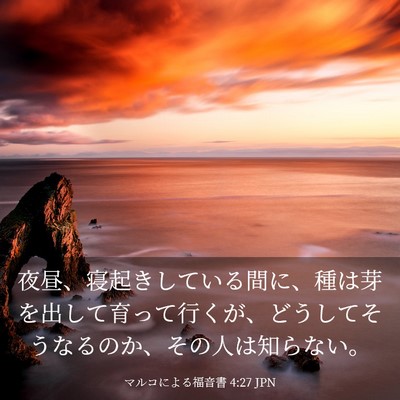 Picture 03 - マルコによる福音書 4:27 JPN - 夜昼、寝起きしている間に、種は芽 - Bible Verse Picture