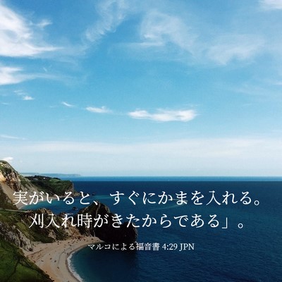 Picture 03 - マルコによる福音書 4:29 JPN - 実がいると、すぐにかまを入れる。 - Bible Verse Picture