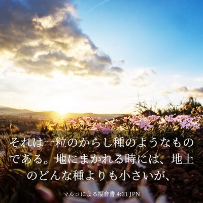Picture 03 - マルコによる福音書 4:31 JPN - それは一粒のからし種のようなもの - Bible Verse Picture