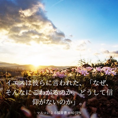 Picture 03 - マルコによる福音書 4:40 JPN - イエスは彼らに言われた、「なぜ、 - Bible Verse Picture